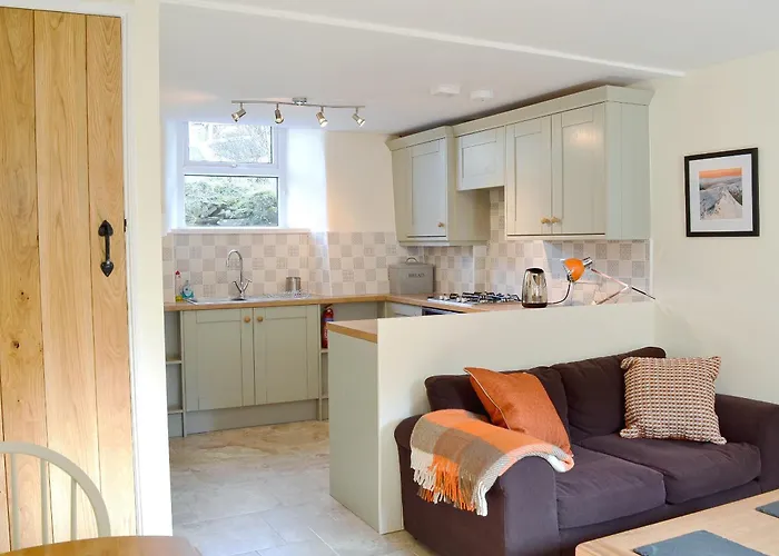 Jackdaw * آمبيلسايد